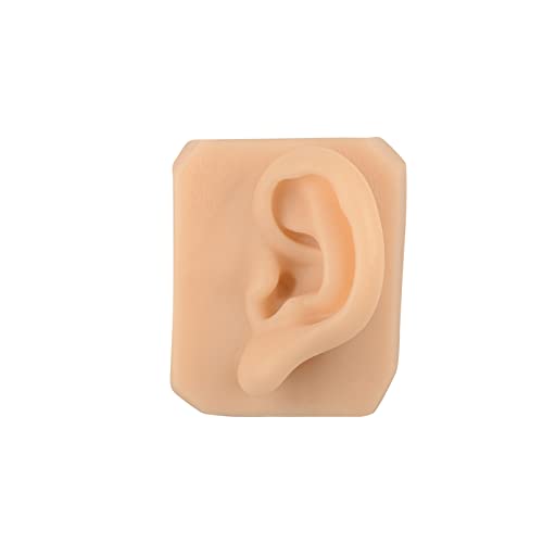 KZ55H 1 Pair Silicone Ear Model Flexible Ear Mold Soft Body Part Displays for...