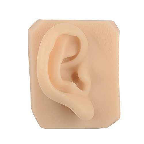 KZ55H 1 Pair Silicone Ear Model Flexible Ear Mold Soft Body Part Displays for...