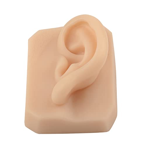 KZ55H 1 Pair Silicone Ear Model Flexible Ear Mold Soft Body Part Displays for...
