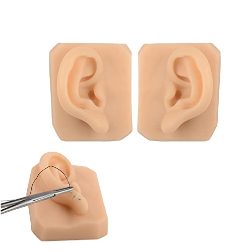 KZ55H 1 Pair Silicone Ear Model Flexible Ear Mold Soft Body Part Displays for...