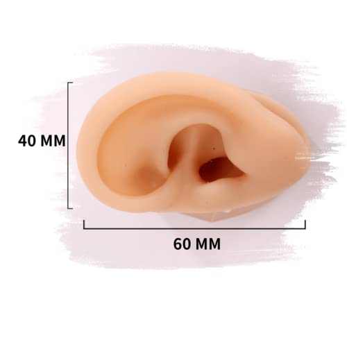 KZ55H 1 Pair Silicone Ear Model Human Ear Model Acupuncture Massage Practice ...