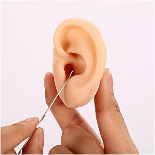 KZ55H 1 Pair Silicone Ear Model Human Ear Model Acupuncture Massage Practice ...