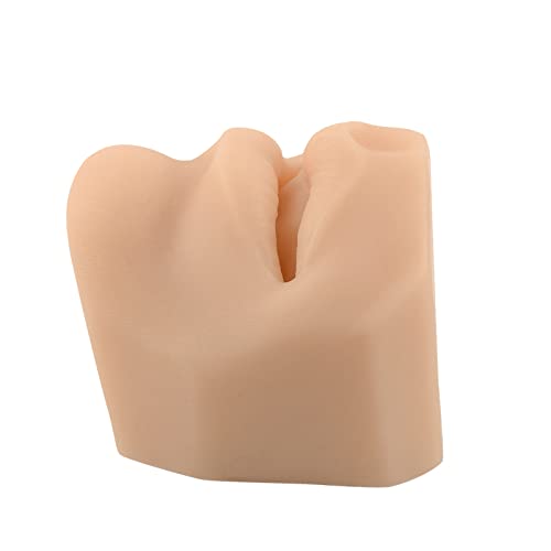 KZ55H Soft Silicone Mouth Model - Silicone Lip Piercing Model - Body Part Dis...