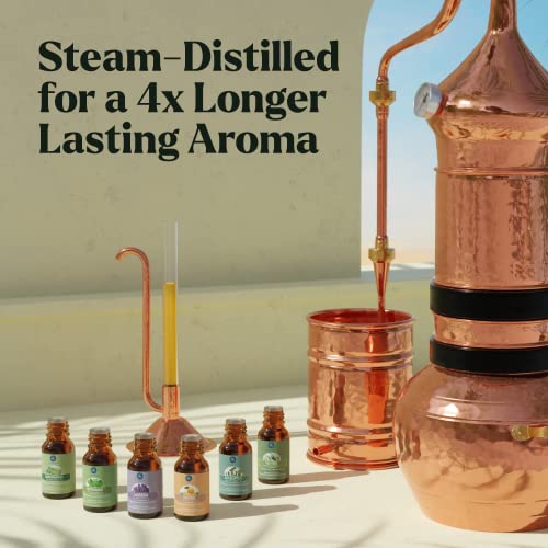 Essential Oil 6pc Set in Gift Box | Safe for Diffusers, Massage, Aromatherapy...