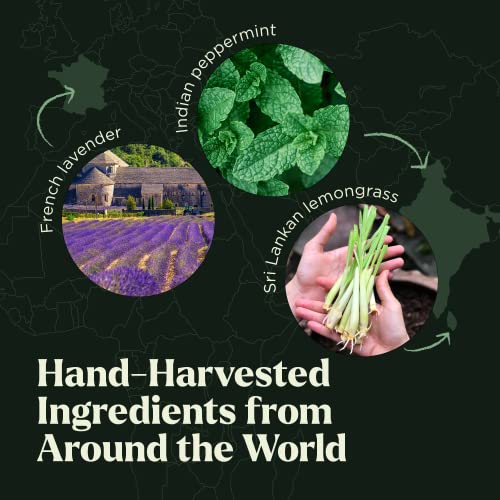 Essential Oil 6pc Set in Gift Box | Safe for Diffusers, Massage, Aromatherapy...