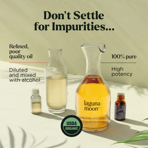 Essential Oil 6pc Set in Gift Box | Safe for Diffusers, Massage, Aromatherapy...