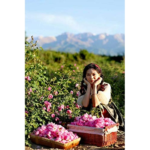 LAMBID Wool Dryer Balls, Pet Hair Removal Laundry Balls for Dryer Reusable An...