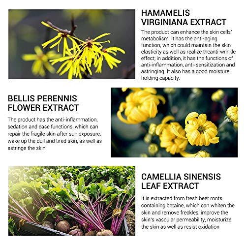 LANBENA Pore Skin Care Serum Facial Essence for Shrinking Pores + Relieving D...