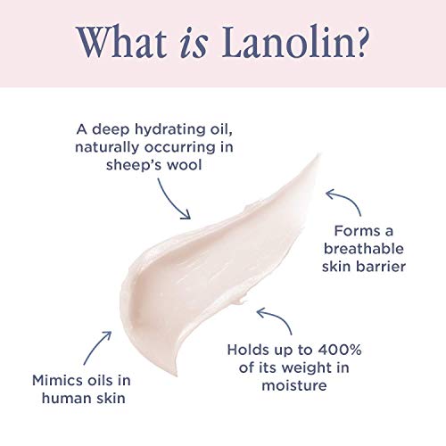Lanolips Rose Gold 101 Ointment - Natural Lanolin Moisturizer with Blush Colo...
