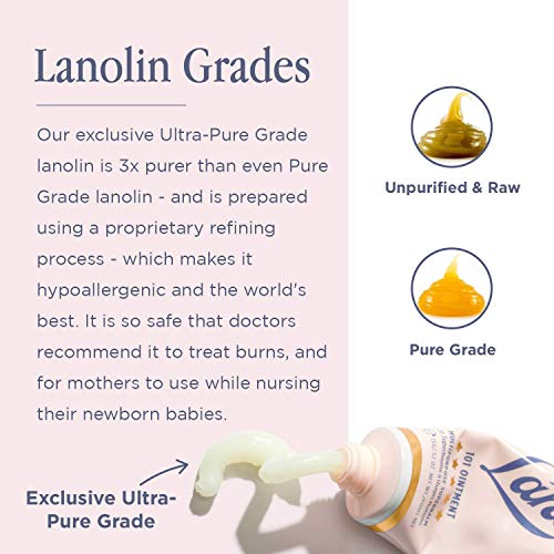 Lanolips Rose Gold 101 Ointment - Natural Lanolin Moisturizer with Blush Colo...