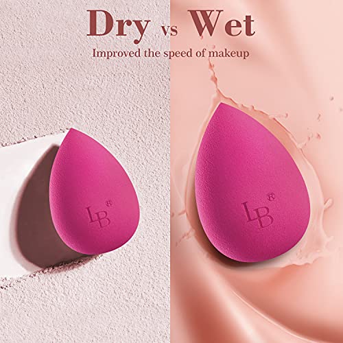 5Pcs Makeup Sponge Blender Beauty Set - Larbois Foundation Blending Beauty Sp...