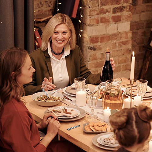 Lattliv Portable Titanium Toothpicks Holder, 2 Pieces Stainless Steel Metal T...