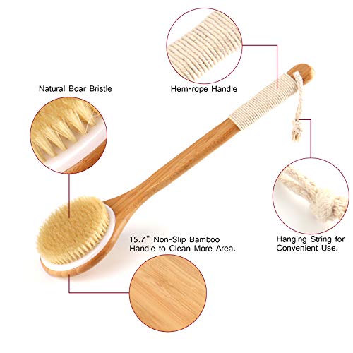 Bath Body Brush Set for Wet or Dry Brushing - Natural Detoxifying Facial Brus...