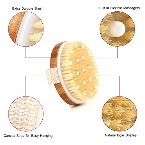 Bath Body Brush Set for Wet or Dry Brushing - Natural Detoxifying Facial Brus...