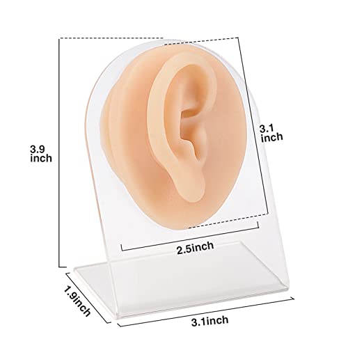 LaVeesis Silicone Ear Model (Right) with Acrylic Stand, Flexible Ear Mold for...
