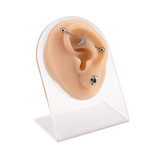LaVeesis Silicone Ear Model (Right) with Acrylic Stand, Flexible Ear Mold for...