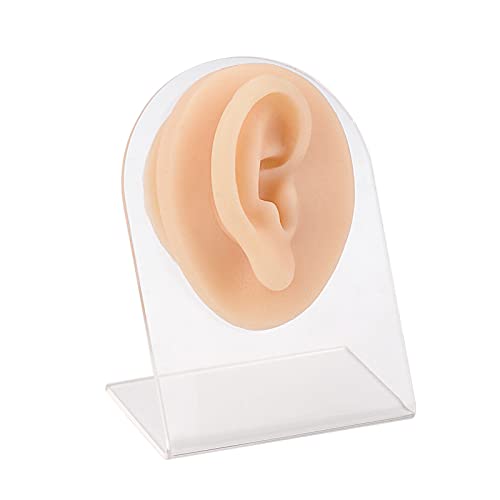 LaVeesis Silicone Ear Model (Right) with Acrylic Stand, Flexible Ear Mold for...