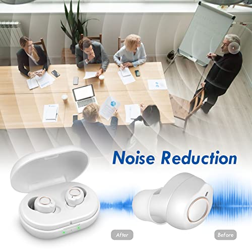 Hearing Aids,Hearing aid with Recharging case,Hearing aids for seniors,Noise ...