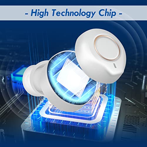 Hearing Aids,Hearing aid with Recharging case,Hearing aids for seniors,Noise ...