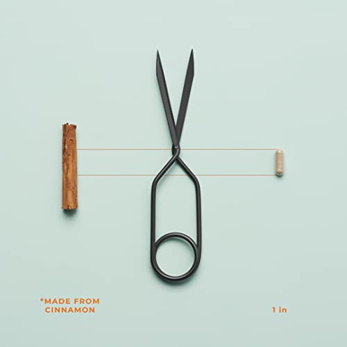 LifeSeasons - Glucose Stabili-T - Natural Blood Support Supplement - with Cin...