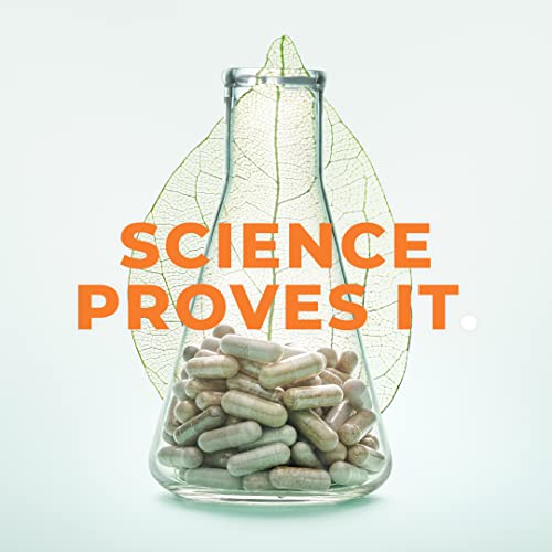 LifeSeasons - Glucose Stabili-T - Natural Blood Support Supplement - with Cin...