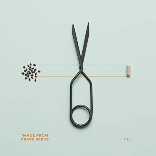 LifeSeasons - Visibili-T - Vision Supplement - Supports Eyesight, Dry Eyes, N...