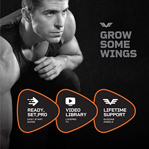 Sonic Handheld Percussion Massage Gun - Deep Tissue Massager for Sore Muscle ...