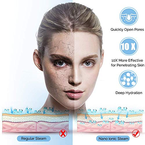 Facial Steamer, Professional Spa Home Face Steamer Warm Mist Moisturizing Fac...