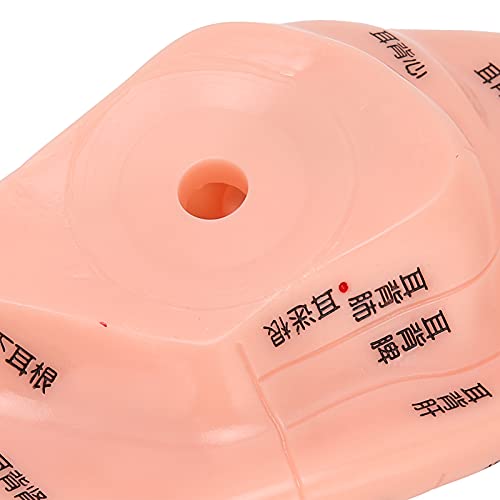 LIKJ Ear Acupuncture Model, Easy to Observe PVC Accurate Clear No Odor Ear Zo...