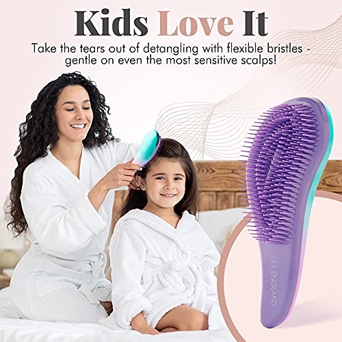 Detangler Brush and Comb Set - Detangling Hairbrush for Women and Kids Detang...