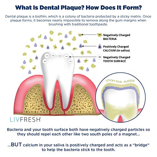 LIVFRESH Dental Gel by Livionex (Formerly Livionex Dental Gel) - Clinically P...