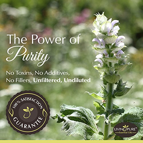 #1 Respiratory Essential Oil & Sinus Relief Blend - Supports Allergy Relief, ...