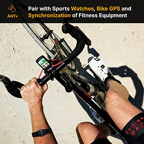 LIVLOV V9 Bluetooth ANT+ Heart Rate Monitor Armband, Rechargeable HRM Sensor ...