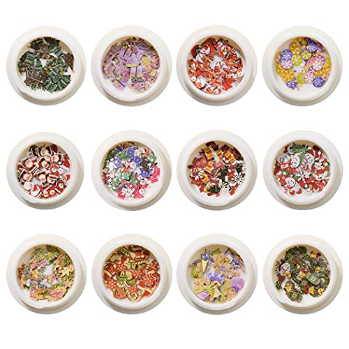Lnrueg Christmas Nail Decorations Colorful 12 Boxes Tree DIY Santa Claus Snow...