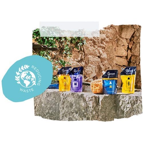 L’Occitane Shea Hands & Body Verbena Liquid Soap Refill, 16.9 fl. oz.