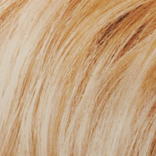 L'Oréal Paris Feria Permanent Hair Color, 110 Starlet (Very Light Beige Blonde)