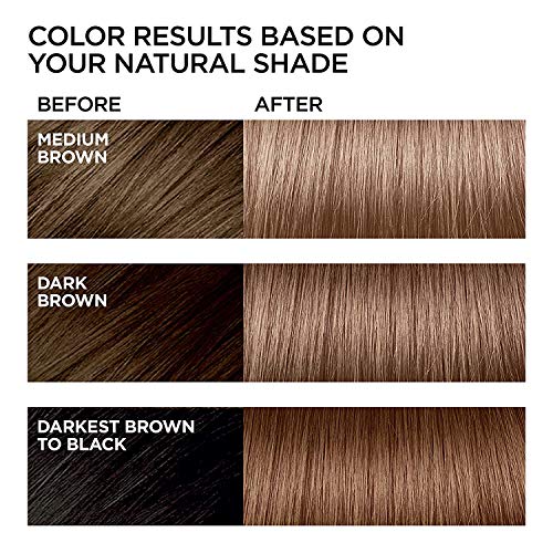 L'Oreal Paris Feria Multi-Faceted Shimmering Permanent Hair Color, B61 Downto...