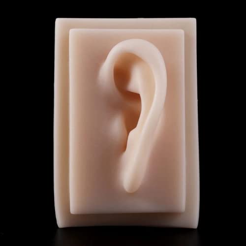 LSOAARRT 1 Pair Human Ear Model Life Size Soft Silicone Ear Acupuncture Pract...