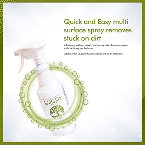 Lucas Acrylic and Plastic Cleaner, 32 Ounce