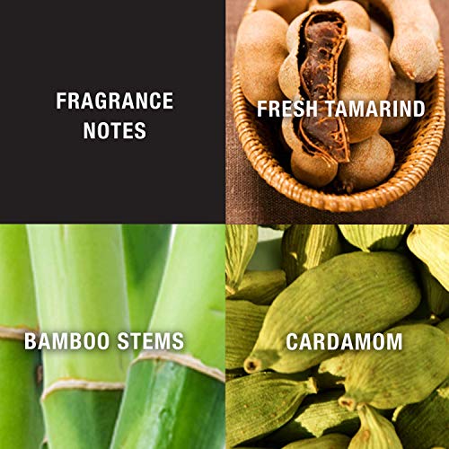 Men's Cologne Fragrance Spray by Lucky You, Day or Night Casual Scent with Ba...