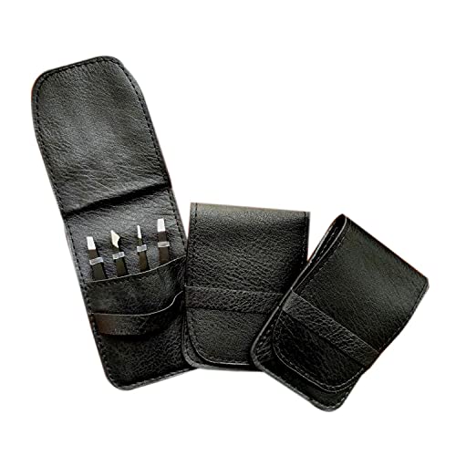 LUDOUPIER [4+1 Pieces] Tweezers Set with Travel Case, Great Precision Upgrade...