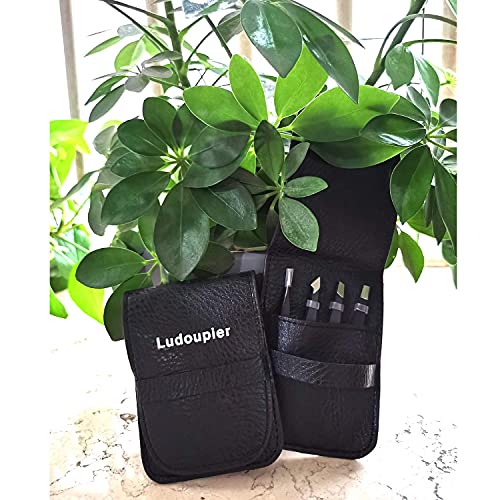 LUDOUPIER [4+1 Pieces] Tweezers Set with Travel Case, Great Precision Upgrade...