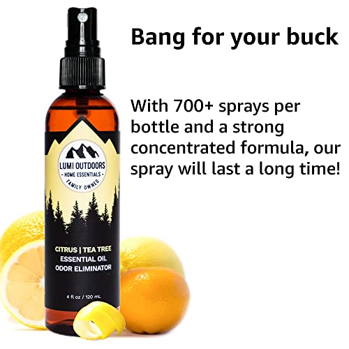 Natural Shoe Deodorizer Spray & Odor Eliminator by Lumi Outdoors - Fresh Citr...