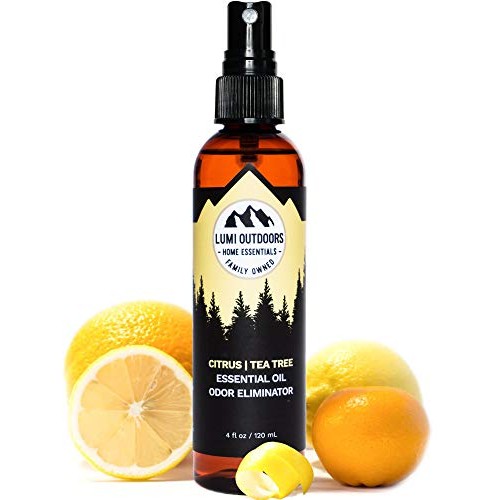 Natural Shoe Deodorizer Spray & Odor Eliminator by Lumi Outdoors - Fresh Citr...