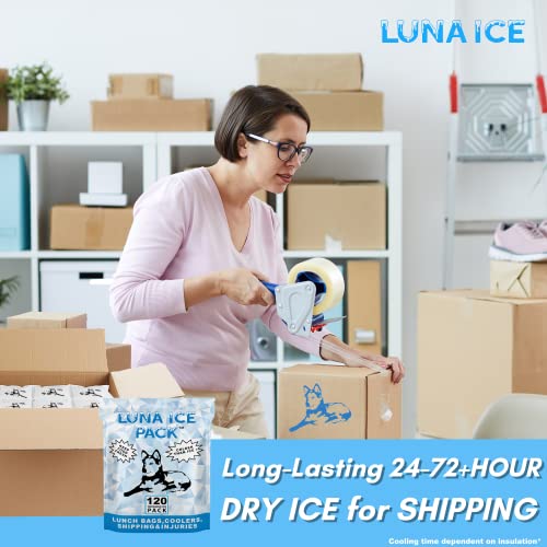 Luna Ice 120 Pack -Dry Ice-Dry ice for Shipping Frozen Food-Bulk Ice Packs-Hi...