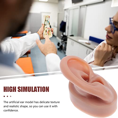 Lurrose Ear Piercing Model Acupuncture Ear Model Silicone Piercing Ear Model ...