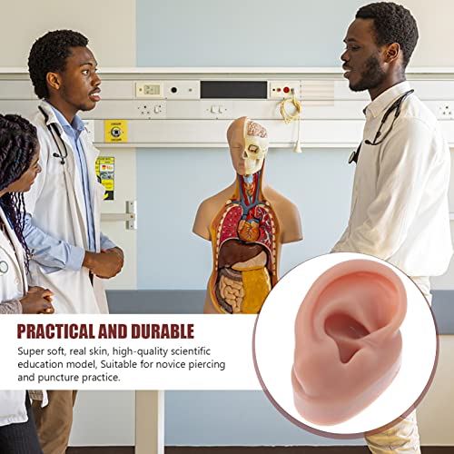Lurrose Ear Piercing Model Acupuncture Ear Model Silicone Piercing Ear Model ...