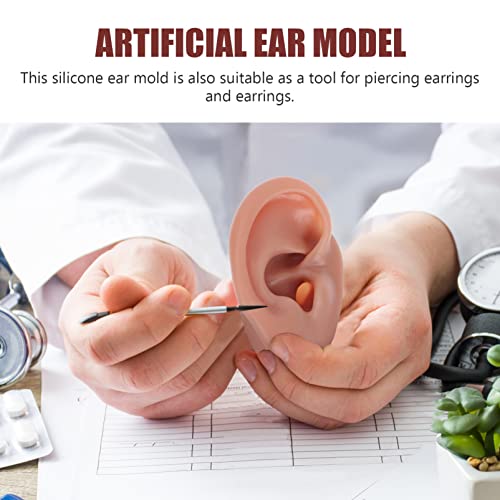 Lurrose Ear Piercing Model Acupuncture Ear Model Silicone Piercing Ear Model ...
