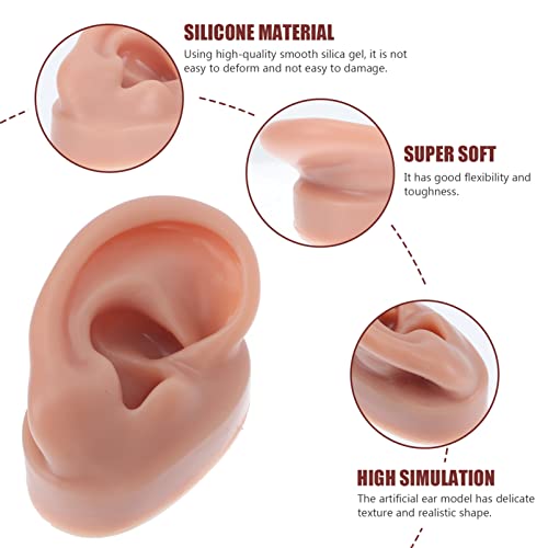 Lurrose Ear Piercing Model Acupuncture Ear Model Silicone Piercing Ear Model ...