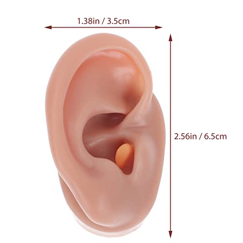 Lurrose Ear Piercing Model Acupuncture Ear Model Silicone Piercing Ear Model ...